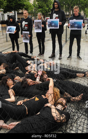L269 animals rights defenders protest fishing and fish consummation ...