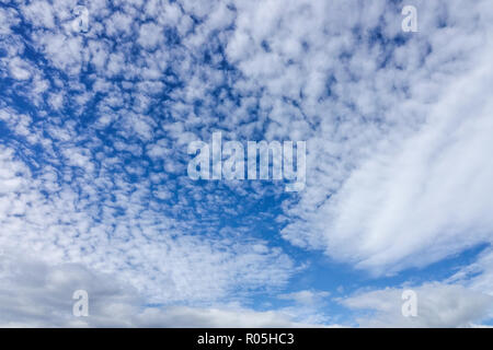 Cirrocumulus high sky White Cumulus clouds in blue sky Summer weather Cloudscape Stock Photo