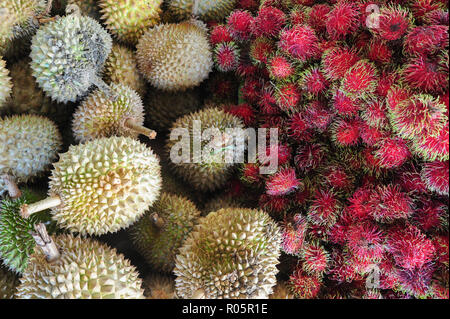 Famous fruits in Malaysia, Thailand and Indonesia the durian and rambutan. Stock Photo