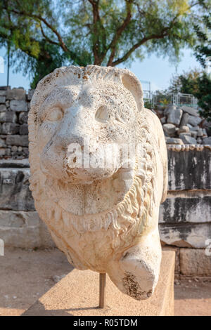 Sculpture of lion at the archaeological site of Ruins of the Apollo Temple in Didyma, Turkey. Stock Photo