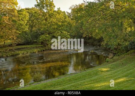 The River Llugwy runs past a lawn in the Welsh village of Betws-y-Coed.  Trees line the river bank and the water flows over some rocks. Stock Photo