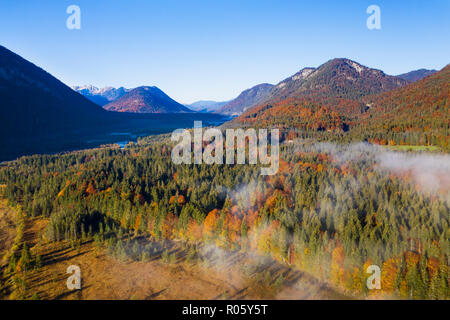 Autumn mixed forest in the Isar valley, near Sylvensteinsee, drone image, Lenggries, Isarwinkel, Upper Bavaria, Bavaria, Germany Stock Photo