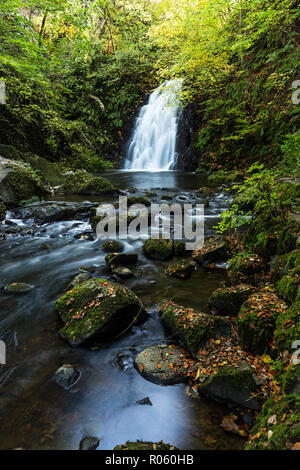 Glenoe Waterfall in autumn colours, Glenoe, Larne, County Antrim, N.Ireland, Stock Photo