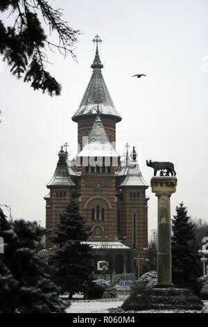 Capitoline wolf statue in front of Timisoara Orthodox Cathedral on Victoria Square, Timisoara, Romania Stock Photo