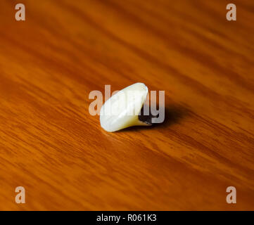 Tooth, metal ceramic crown on the table. Denture made of metal ceramics. Stock Photo