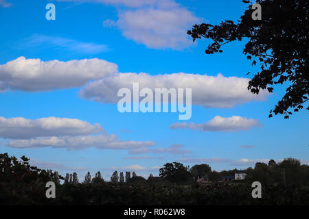 Bright blue evening sky with many white cotton-wool clouds floating in it above a tiny white farmhouse and dark silhouetted trees on lower third . Stock Photo