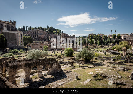 visiting the city of Rome among ruins and beautiful landscapes Stock Photo