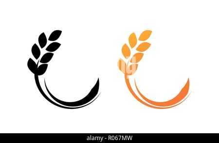 Ears of Wheat vector Illustration isolated on white for Farm products Market Stock Vector