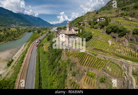 Aerial view of Torre della Sassella and vineyards, Sondrio province, Lombardy, Italy, Europe