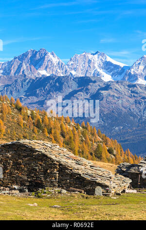 Stone hut and colorful woods in autumn with Bernina Group on background, Alpe Arcoglio Valmalenco, Valtellina, Lombardy, Italy, Europe Stock Photo