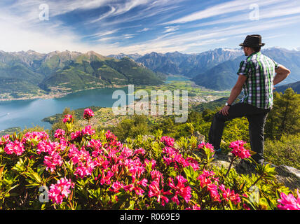 Man beside rhododendrons in bloom looks towards Lake Como and Alto Lario, Monte Legnoncino, Lecco province, Lombardy, Italy, Europe Stock Photo