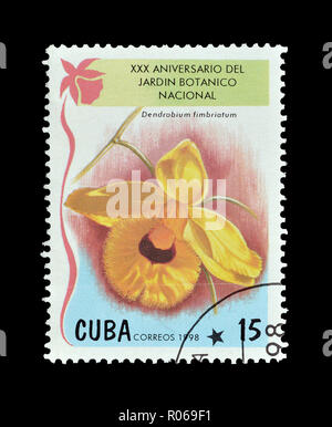 Cancelled postage stamp printed by Cuba, that shows Orchid Dendrobium fimbriatum, circa 1998. Stock Photo