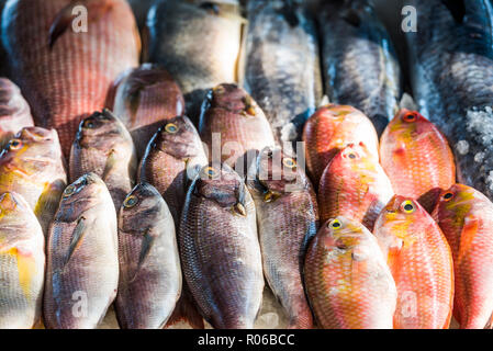 Fish for sale at a food market in Fort Kochi (Cochin), Kerala, India, Asia Stock Photo