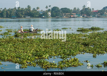 Fishermen, Fort Kochi (Cochin), Kerala, India, Asia Stock Photo