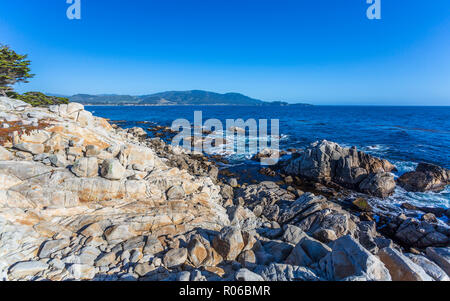 Carmel Bay, Lone Cypress at Pebble Beach, 17 Mile Drive, Peninsula, Monterey, California, United States of America, North America Stock Photo