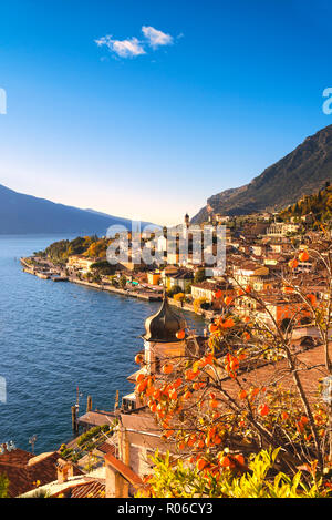 Limone sul Garda, Lake Garda, Brescia province, Lombardy district, Italian Lakes, Italy, Europe Stock Photo