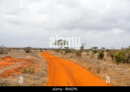 red brown dirt road through savannah in Tsavo East National park, Kenya, Africa Stock Photo