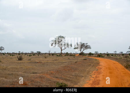 red brown dirt road through savannah in Tsavo East National park, Kenya, Africa Stock Photo