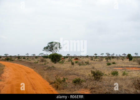 red brown dirt road through savannah in Tsavo East National park, Kenya, Africa Stock Photo