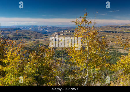Changing Aspen - Southern Utah Mountains Stock Photo