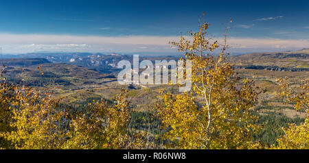 Changing Aspen - Southern Utah Mountains Stock Photo