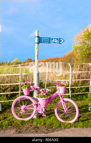 Roadside bicycle painted pink with flower display of Pink Red and White pansies on it. Elswick village Lancashire England UK Stock Photo