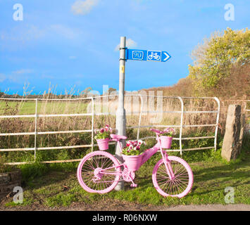 Roadside bicycle painted pink with flower display of Pink Red and White pansies on it. Elswick village Lancashire England UK Stock Photo