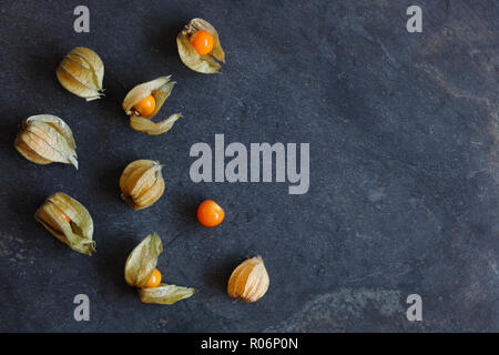 Arrangement of physalis fruit, Cape Gooseberries, on natural slate background with copy space to right Stock Photo