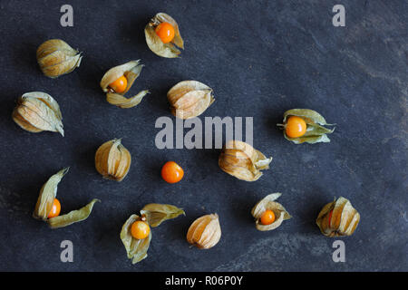 Arrangement of physalis fruit, Cape Gooseberries, on natural slate background  with copy space Stock Photo