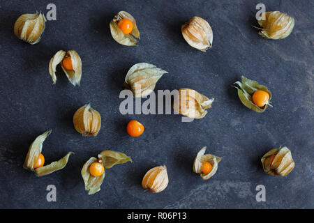 Arrangement of physalis fruit, Cape Gooseberries, on natural slate background Stock Photo