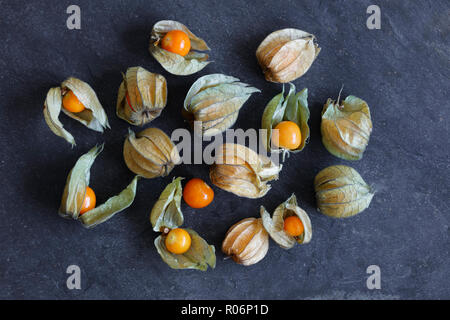 Arrangement of physalis fruit, Cape Gooseberries, on natural slate background - centered group Stock Photo