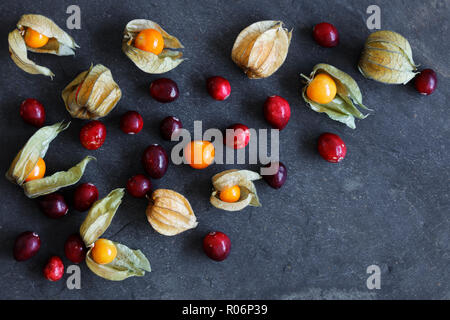 Arrangement of physalis fruit, Cape Gooseberries and cranberries, on natural slate background  with copy space Stock Photo
