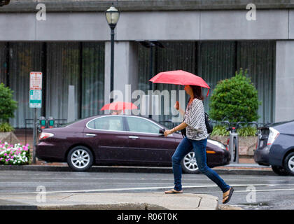 A woman walking alone on a rainy day holding an umbrella - USA Stock Photo