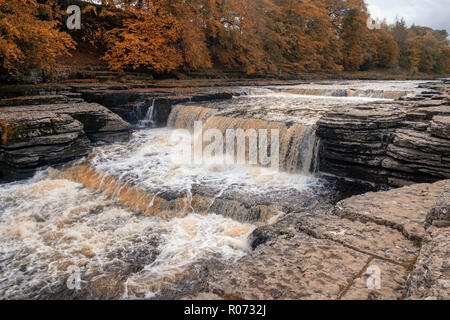 Aysgarth Falls are a triple flight of waterfalls, surrounded by forest and farmland, carved out by the River Ure over an almost one-mile stretch on Stock Photo