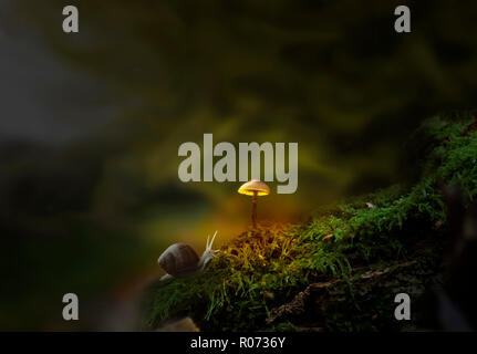 Snail crawling to mushroom in green moss, dark woodland. Fantasy forest with slug and glowing mushroom. Small wonder world, summer dreams illustration Stock Photo