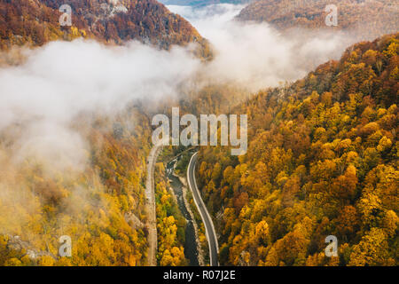 Foggy mountain highway in the middle of the forest on a cold autumn morning Stock Photo