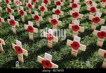 Poppies in the Field of Remembrance in the grounds of Canterbury Cathedral in Kent following a service of dedication. Stock Photo