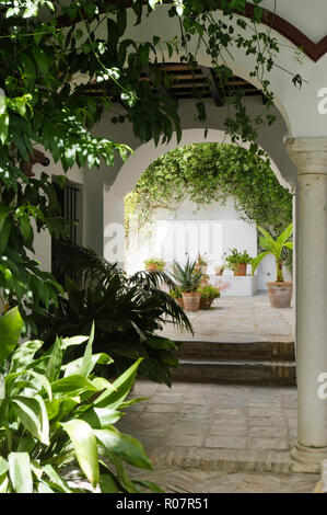 Potted plants in Mediterranean courtyard Stock Photo