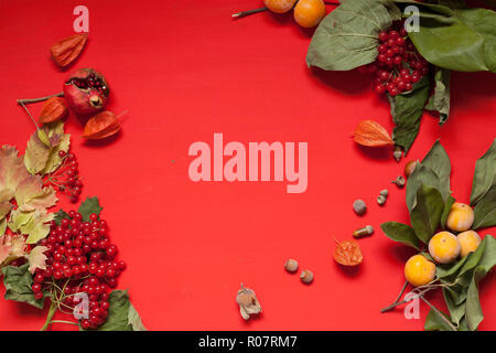 AUTUMN YELLOW LEAVES ON A RED BACKGROUND Stock Photo