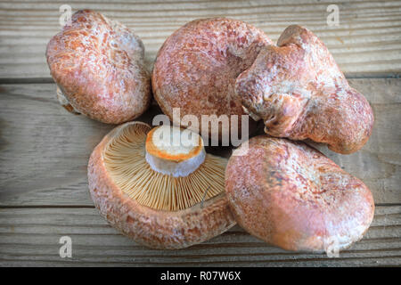 Edible mushrooms on the wooden table top. Stock Photo
