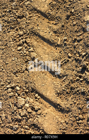 Tread pattern of a truck tire on the dried soil Stock Photo