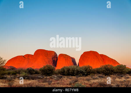 OUTBACK, AUSTRALIA - APRIL 30, 2009: The rock of Kata Tjuta (The Olgas)  changes into a luminous red as the sun is setting - one of the UNESCO world h