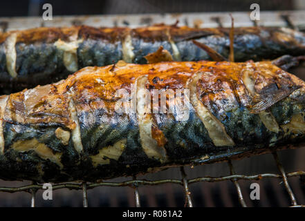 Appetizing mackerel grilled on a fest food. Steet food. Stock Photo