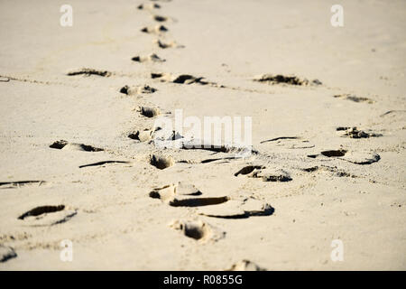 Detail shot with man footprints in the sand on a beach Stock Photo - Alamy