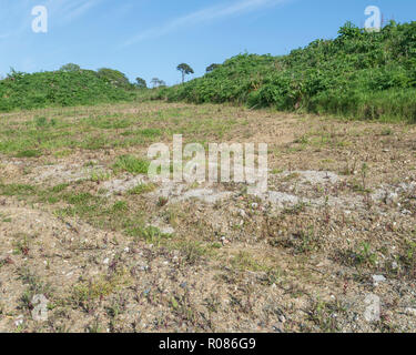 Parched earth in field during heatwave. Stock Photo