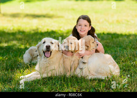 Young lady is walking dogs Stock Photo