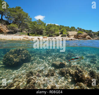 Rocky cove with fish underwater near the sea shore, split view half above and below water surface, Mediterranean sea, Catalonia, Costa Dorada, Spain Stock Photo