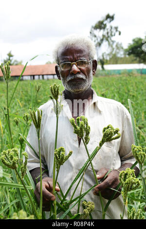 A Finger Millet farmer in Kuppam, Andhra Pradesh, India. Stock Photo