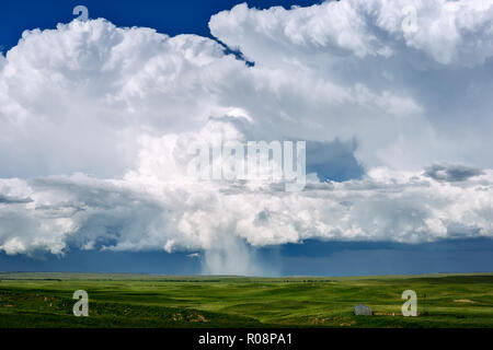 Cumulonimbus clouds as thunderstorms develop over a green grass landscape near Newcastle, Wyoming, USA Stock Photo