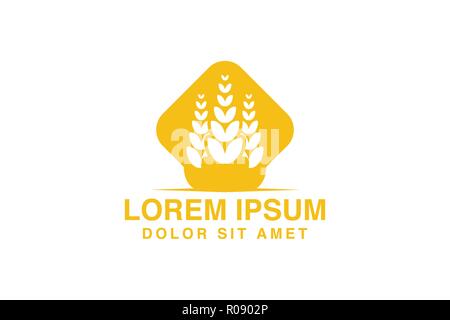 Wheat Grain agriculture logo Designs Inspiration Isolated on White Background Stock Vector